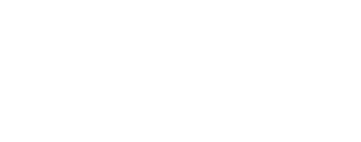 Mestna občina Celje