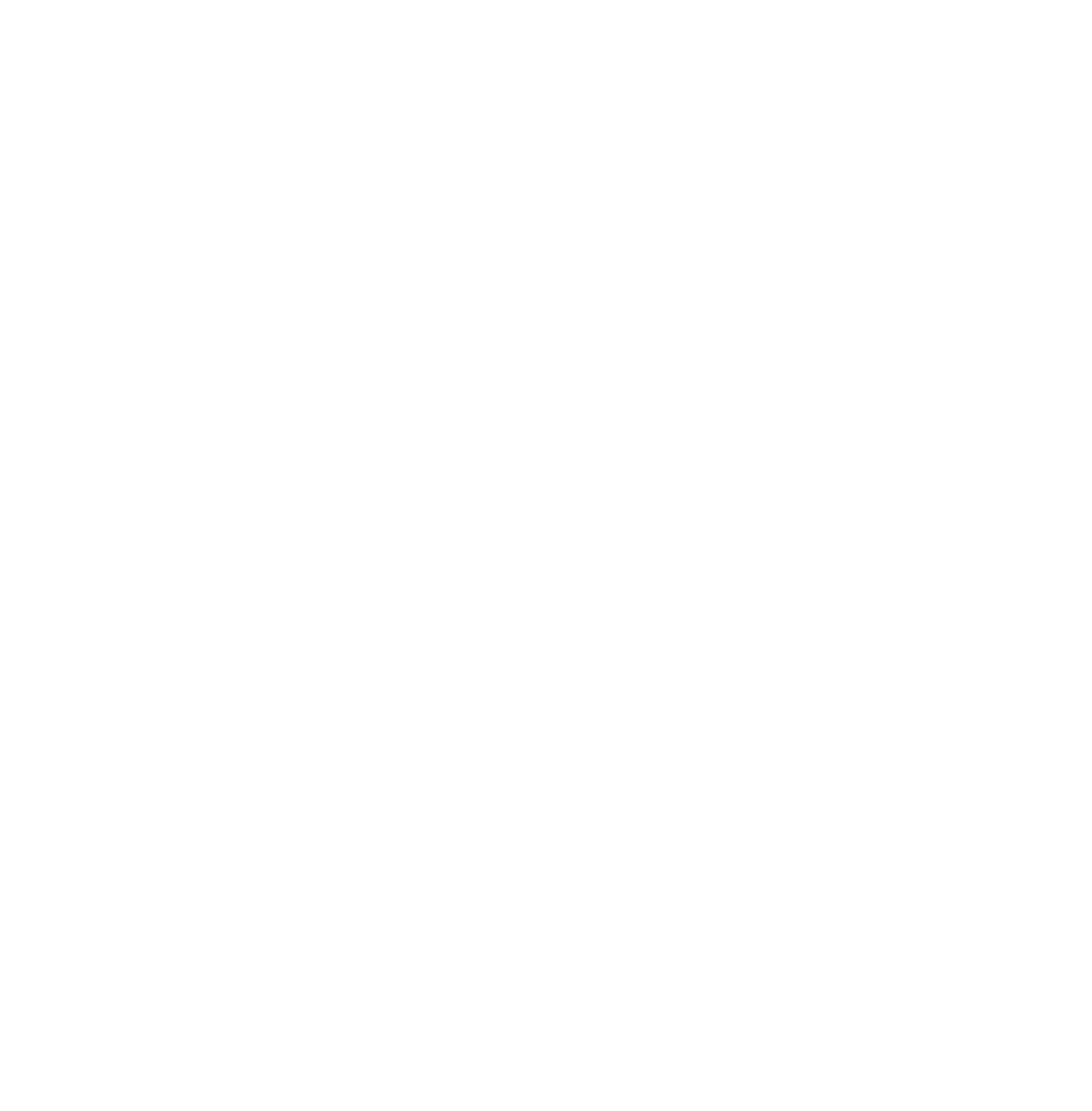 Flows Festival